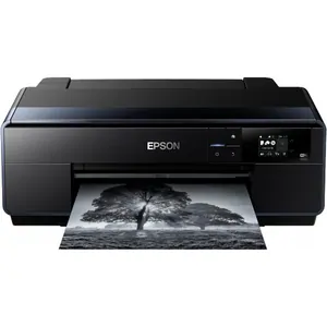 Замена принтера Epson SureColor SC-P600 в Санкт-Петербурге